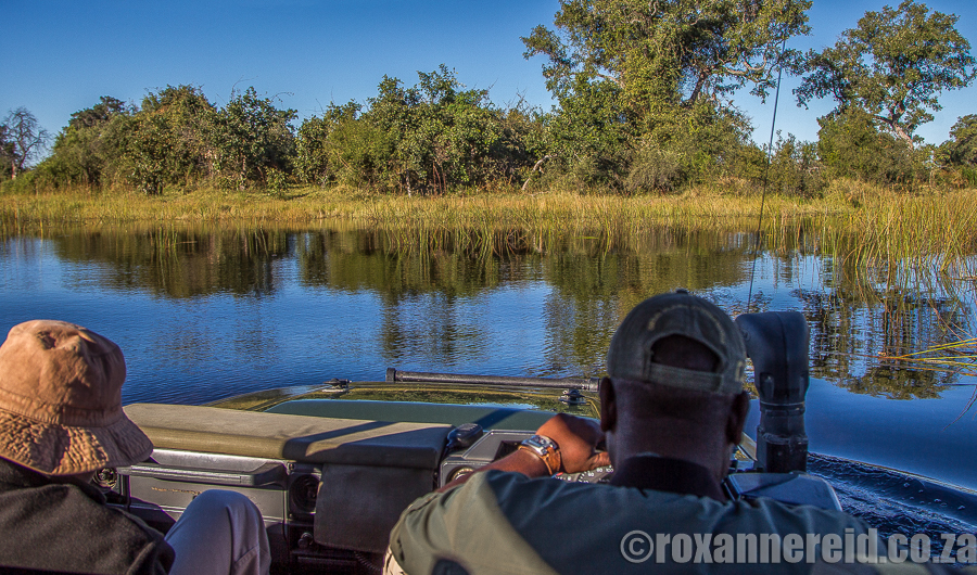Duba Expedition Camp, Okavango, Botswana