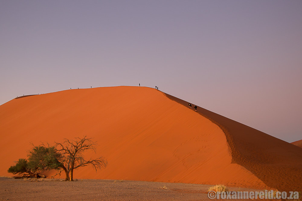 Dune 45, Sossusvlei, Namibia