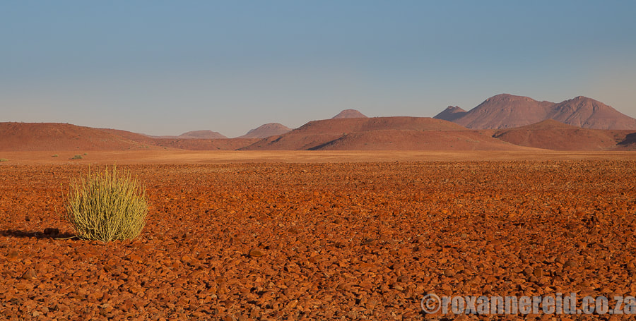 Torra Conservancy, Kunene, Namibia