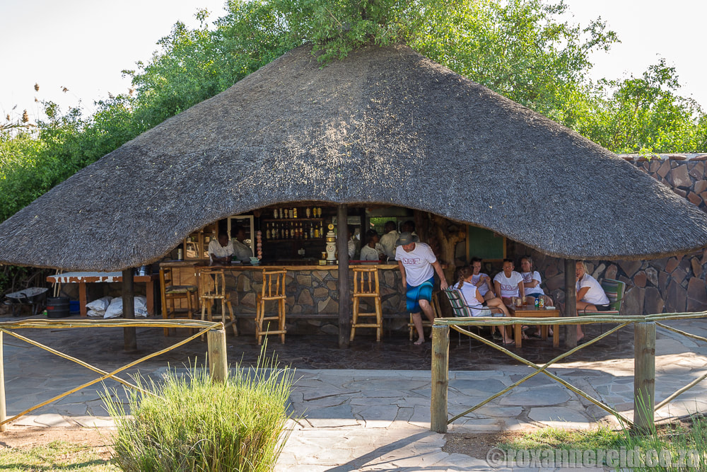 Pool bar, Palmwag Campsite, an oasis in Kunene, Namibia