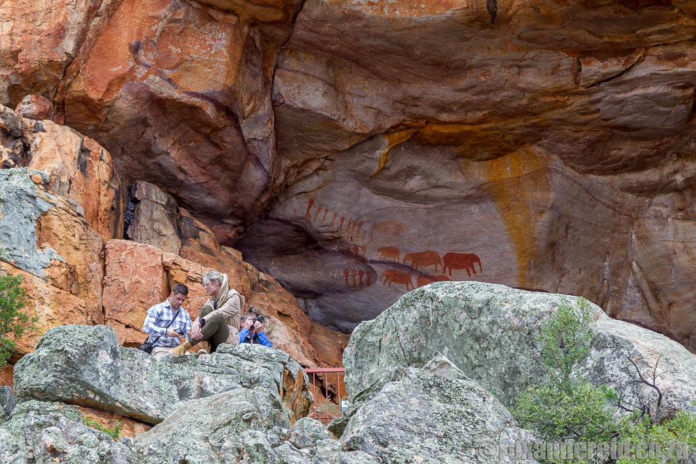 San rock paintings in the Cederberg, South africa