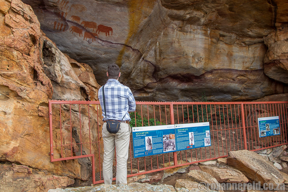 San rock paintings in the Cederberg, South Africa