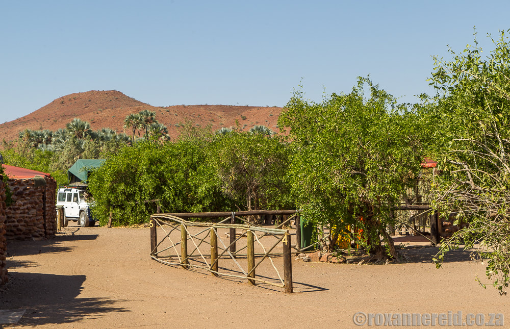 Palmwag Campsite, an oasis in Kunene, Namibia