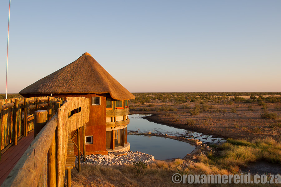 Olifantsrus, 12 of the best waterholes at Etosha National Park, Namibia