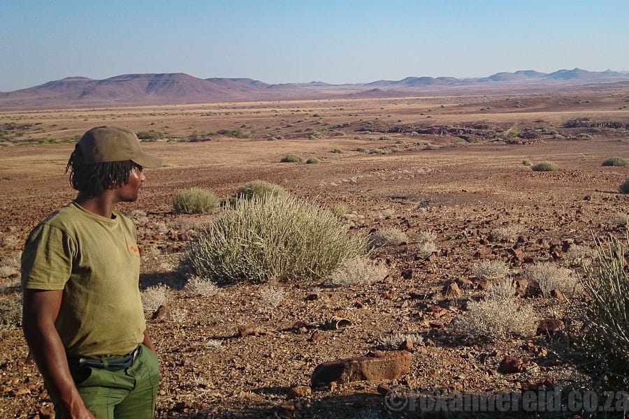Tracking black rhino, Namibia