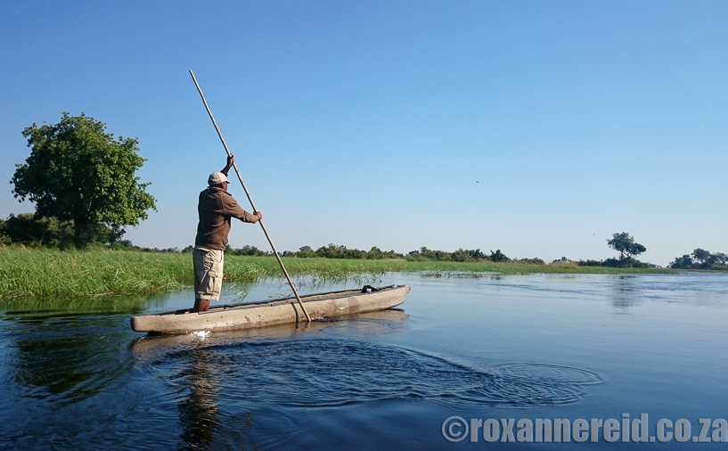 Mokoro, Okavango, Botswana