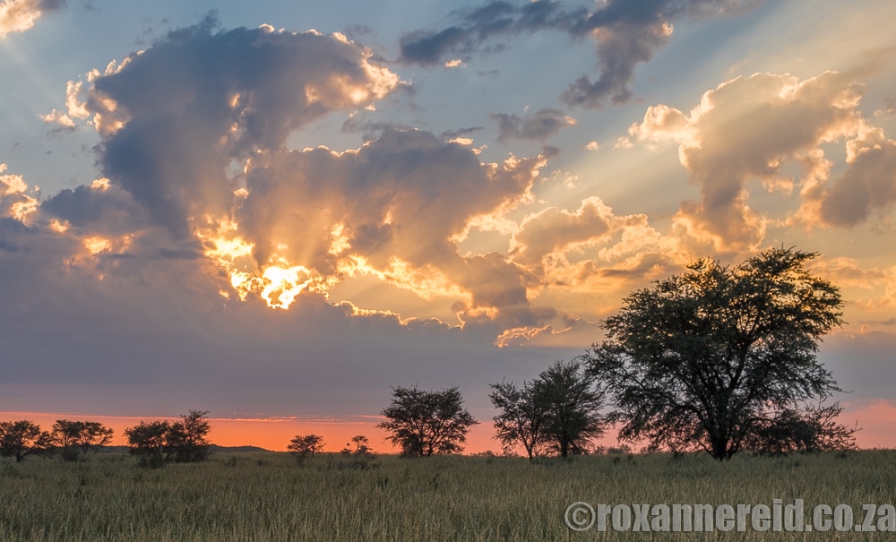 Sunset, Kgalagadi Transfrontier Park, Kalahari, Southern Africa