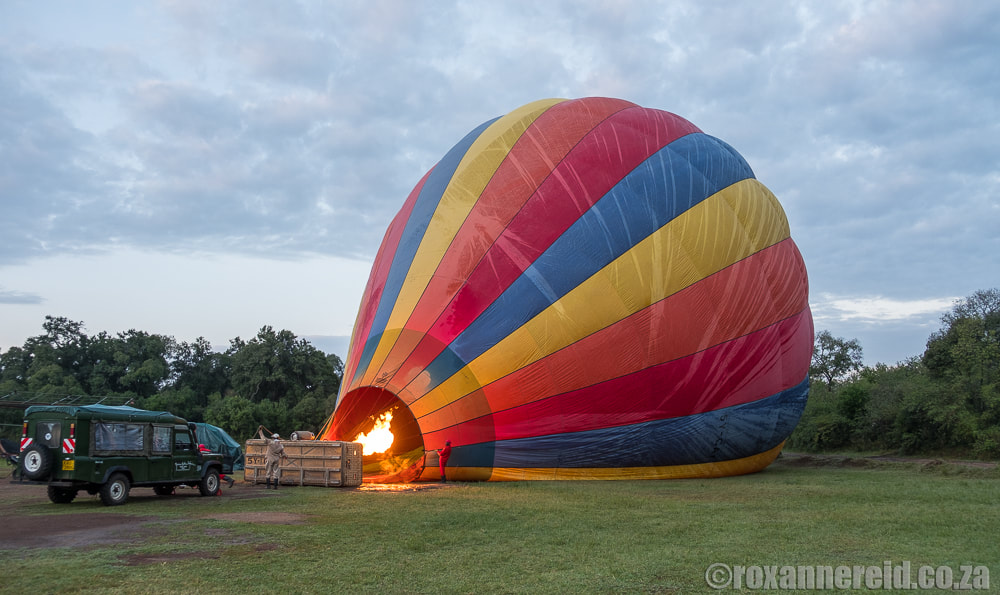 Hot air balloon, Little Governors Camp, Maasai Mara, Kenya