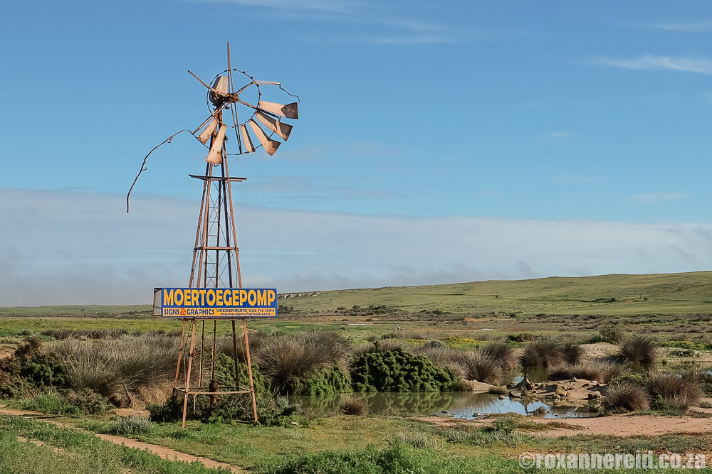 Windmill outside Paternoster