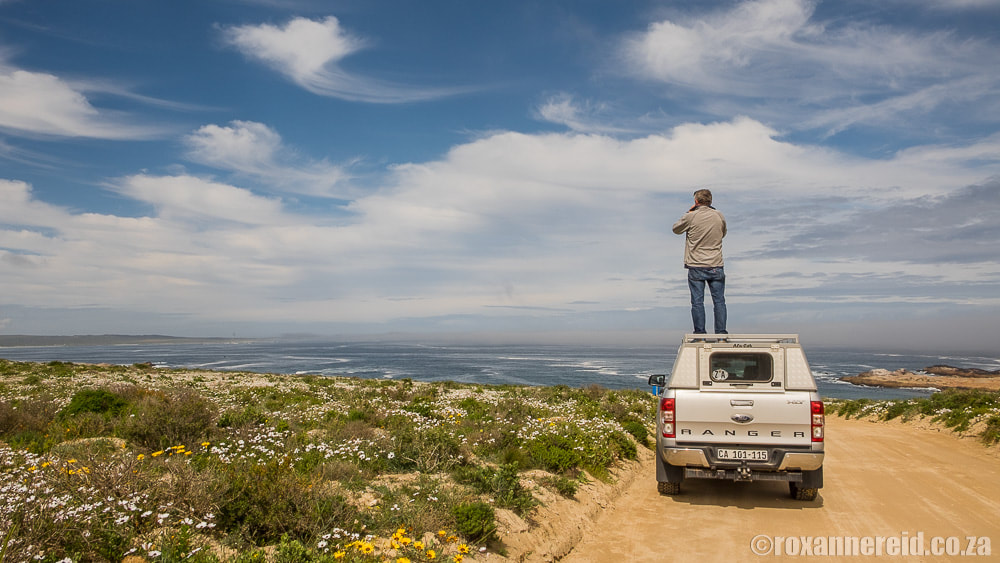 What to do in Paternoster: visit Cape Columbine Nature Reserve