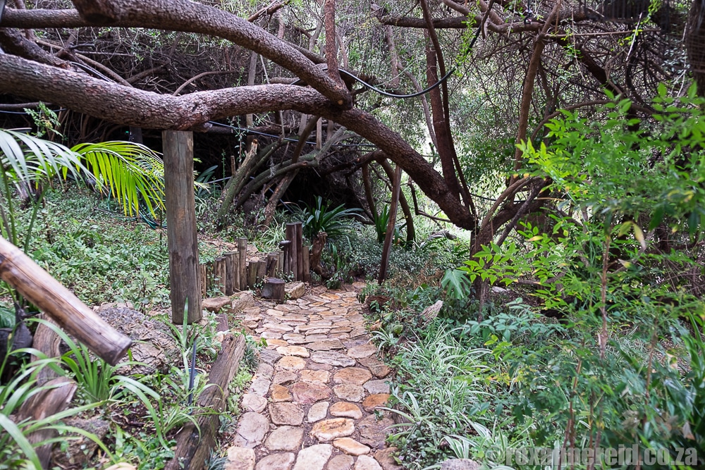 Speekhout tree house in the Baviaanskloof, Eastern Cape, South Africa
