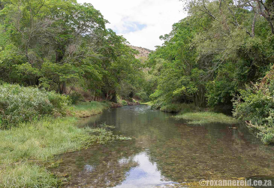one of moree than 40 streams in the Baviaanskloof