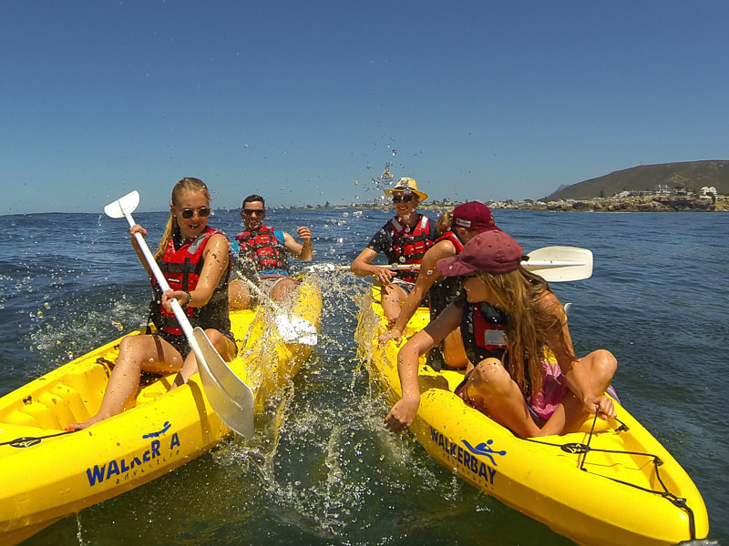 Hermanus activities: sea kayaking