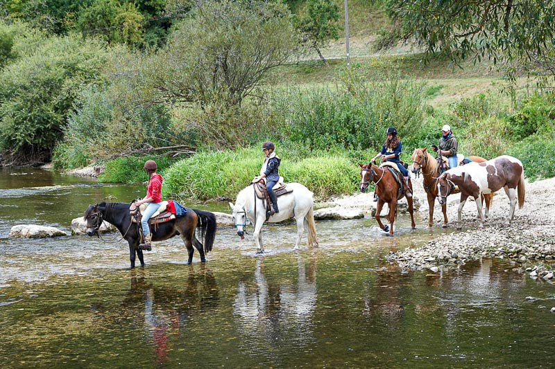 Things to do in Barrydale area: go horse riding