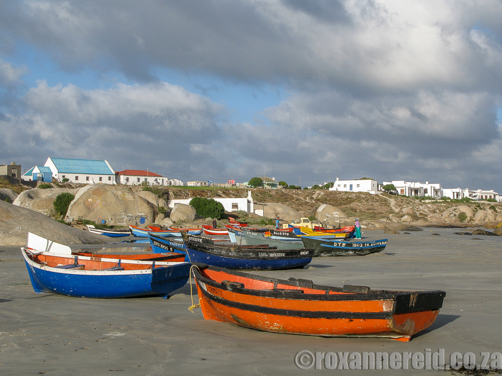 Paternoster fishing boats