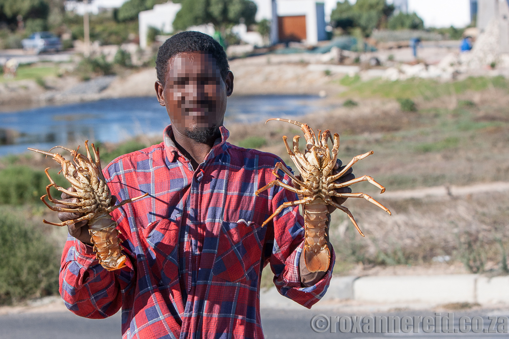 Crayfish seller, Paternoster