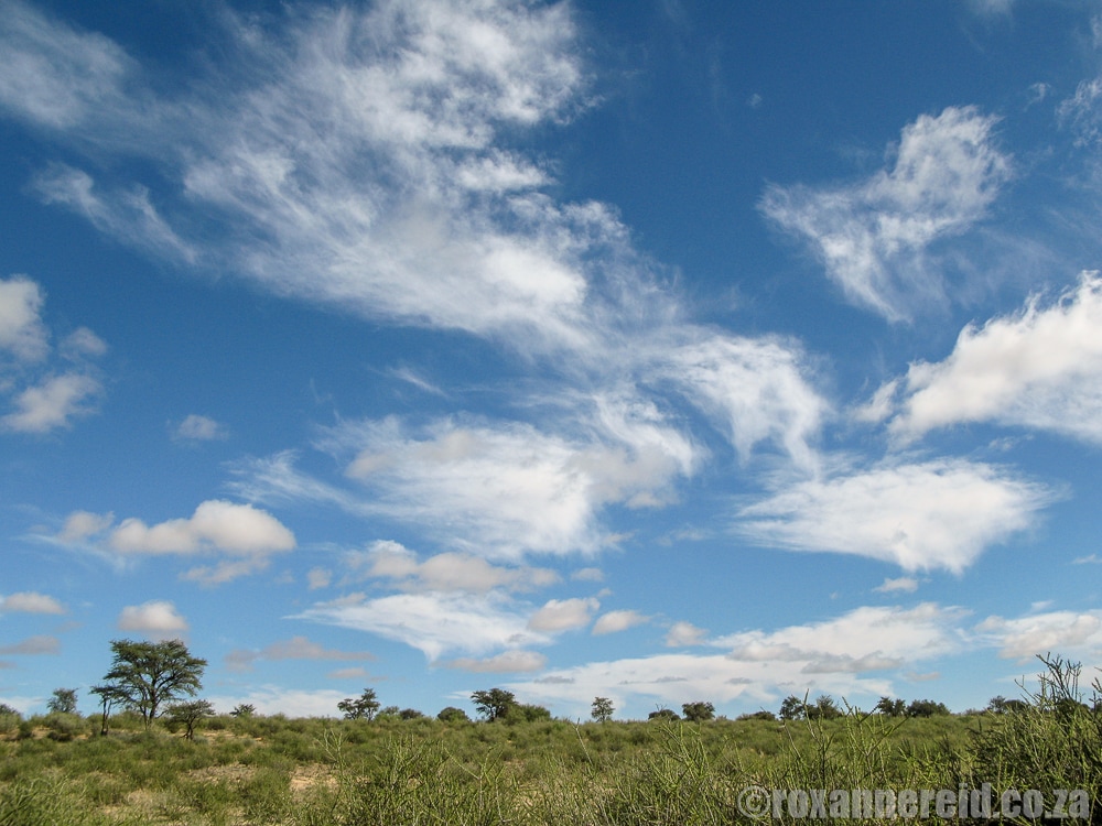 Clouds, Kgalagadi Transfrontier Park, Kalahari, Southern Africa