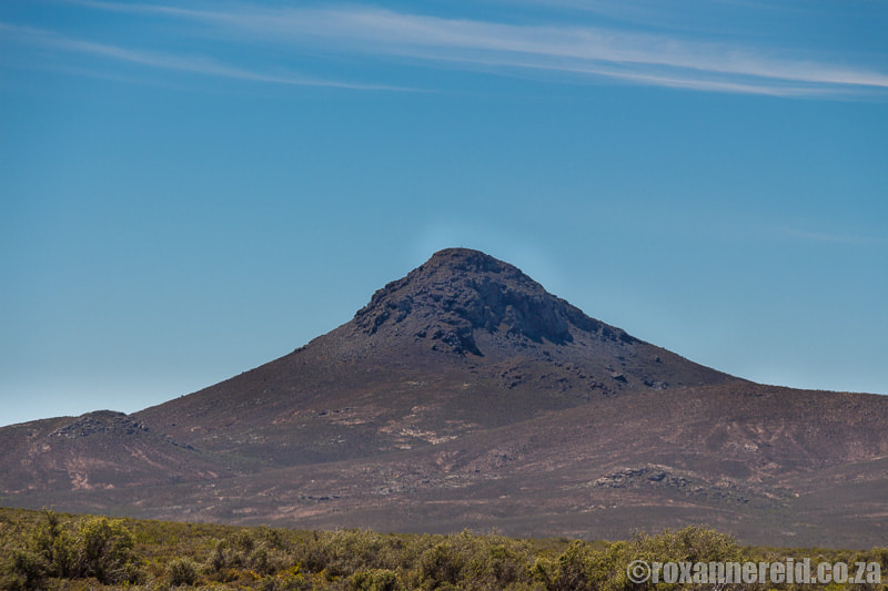 Hike a volcano in Sutherland