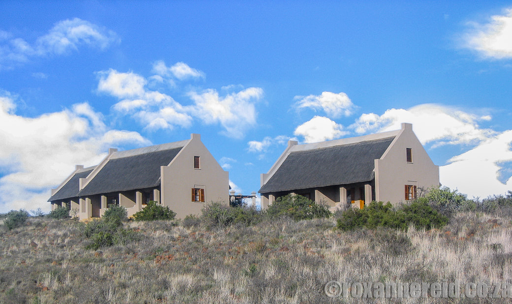 Karoo accommodation at the main rest camp, Karoo National Park, a great alternative to Beaufort West accommodation