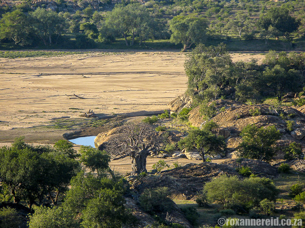 Limpopo River and the Confluence at Mapungubwe National Park