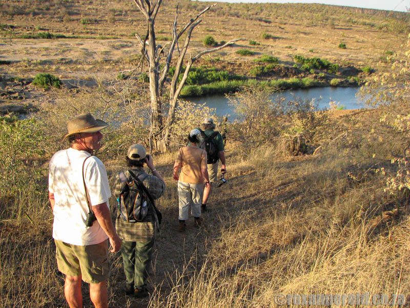 Kruger National Park wilderness trail