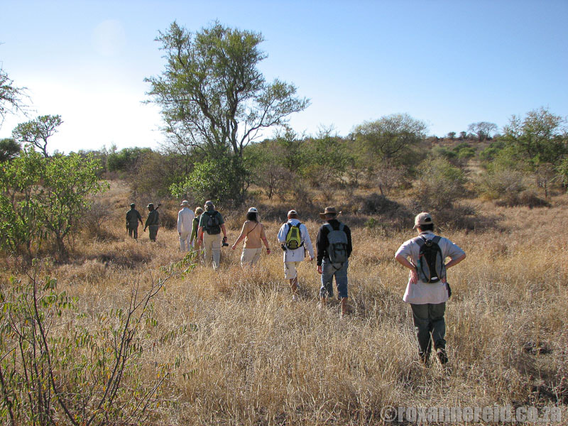 Kruger National Park wilderness trail