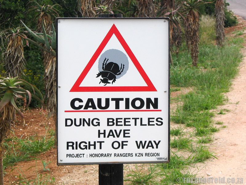 Road sign at Addo Elephant National Park