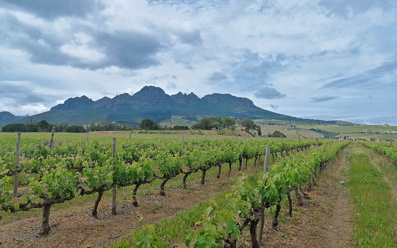Best places to visit in South Africa: Cape Winelands