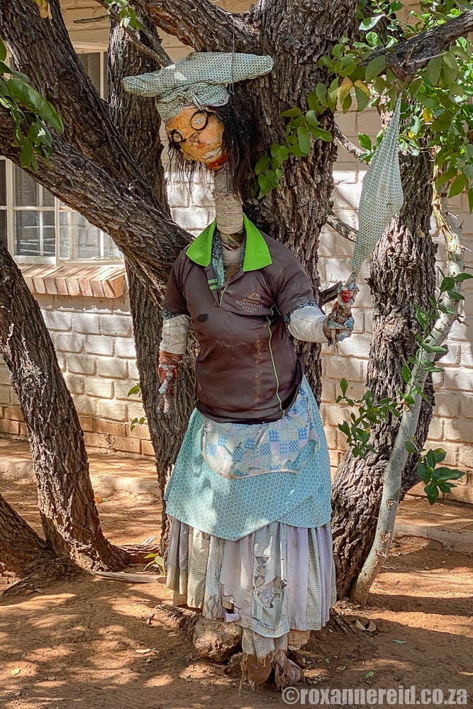 Scarecrow in Damara Mopane Lodge vegetable gardens