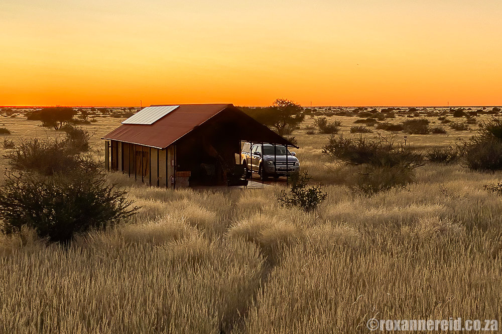 Glamping Namibia - luxury Kalahari camping