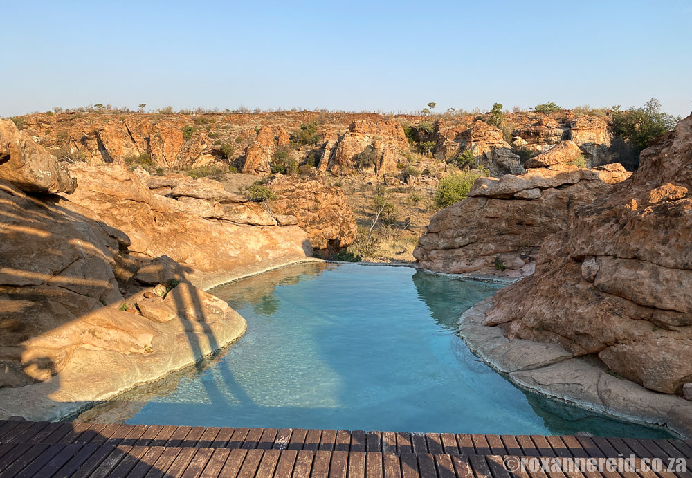 Mapungubwe National Park accommodation: pool at Leokwe Camp