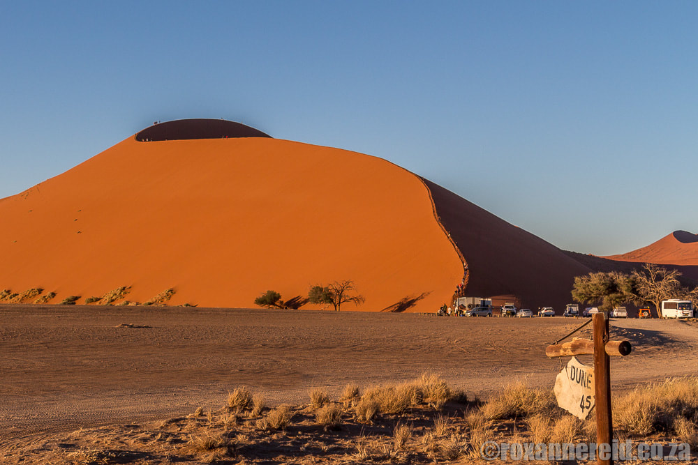 Dont miss a visit to Dune 45 on your holidays in Namibia