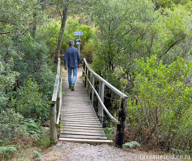 Go hiking at Fernkloof Nature Reserve