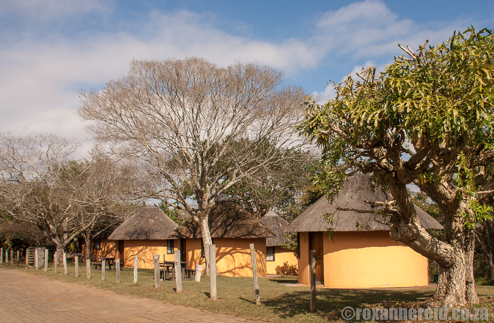 Hilltop resort, Hluhluwe Game Reserve, KwaZulu-Natal, South Africa