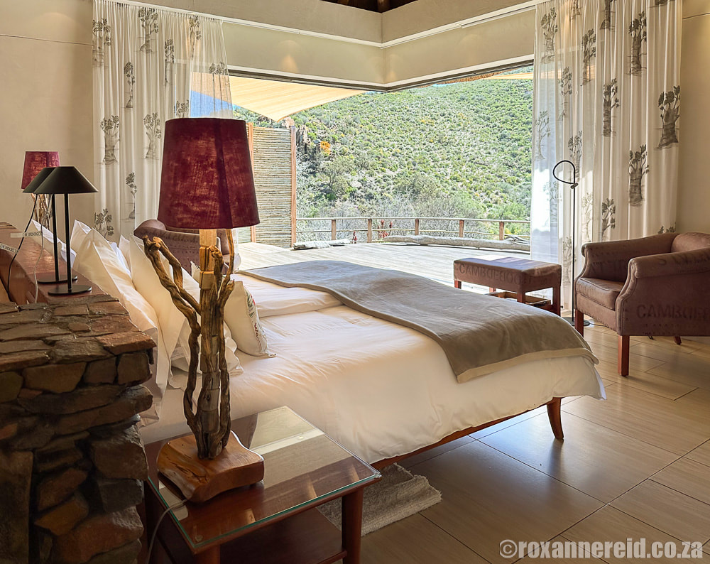 White Lion Lodge, Sanbona: bedroom with a view