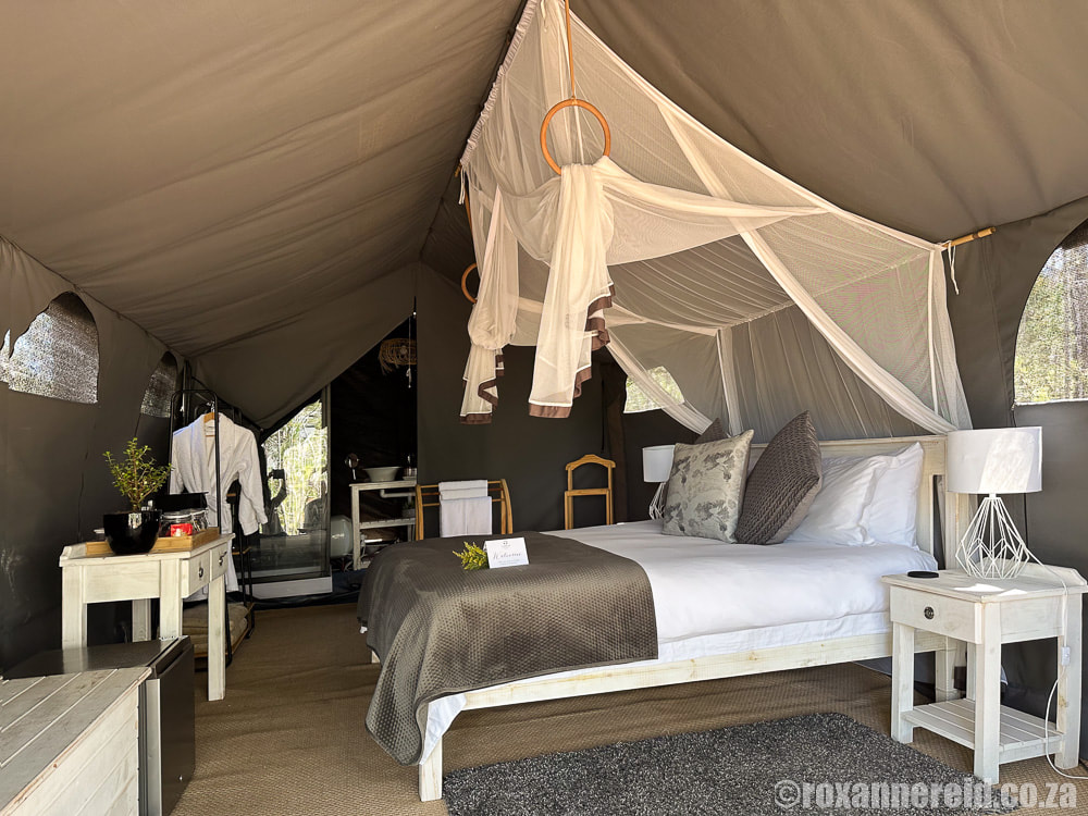 Inside the glamping tent, Canvas Collective Africa, Hemel en Aarde Valley
