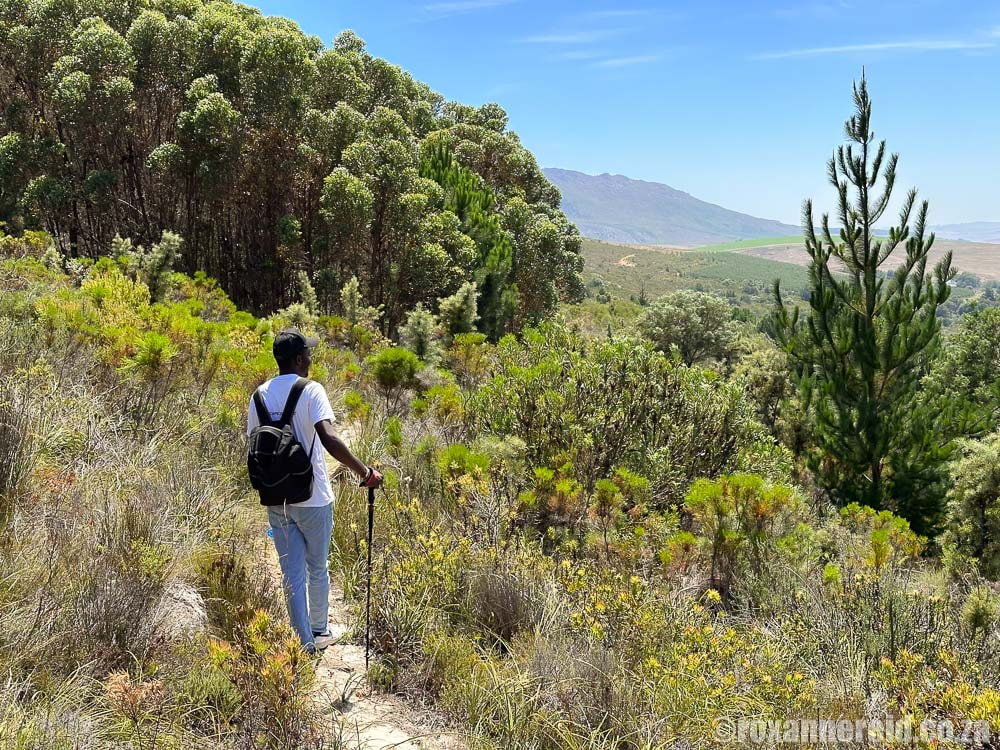 Go hiking on a walking trail at Canvas Collective Africa in the Overbergor