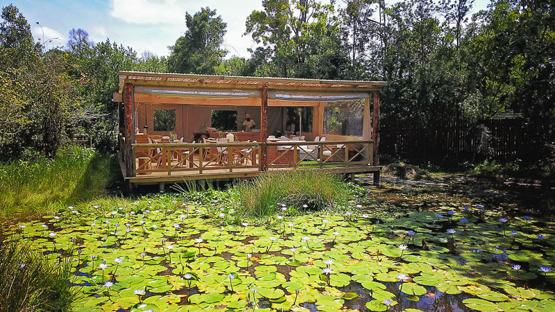 Lily pond breakfast area  at Forest Edge self-catering accommodation in Knysna