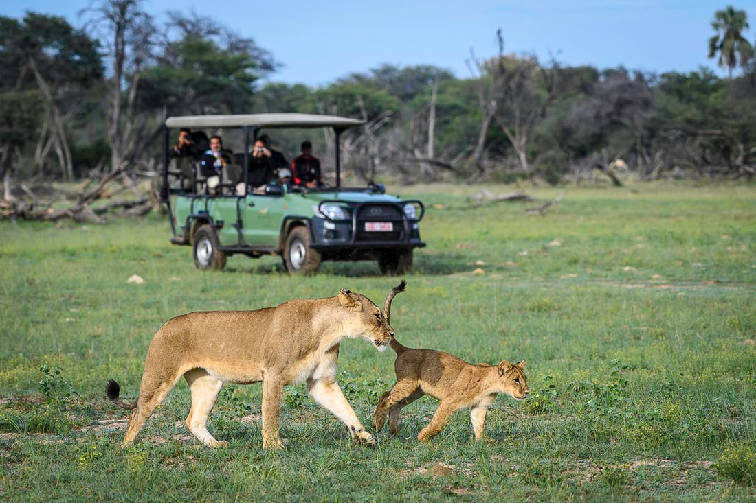 Zimbabwe safari - Hwange safari
