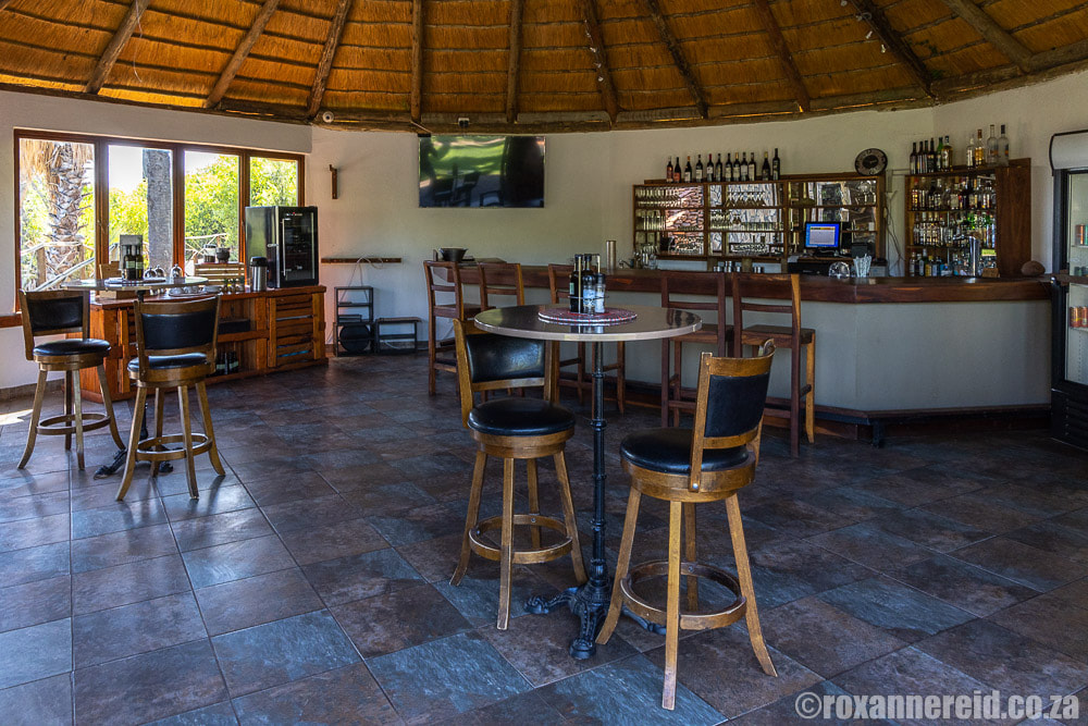 Pool bar and coffee shop, Palmwag Campsite, an oasis in Kunene, Namibia