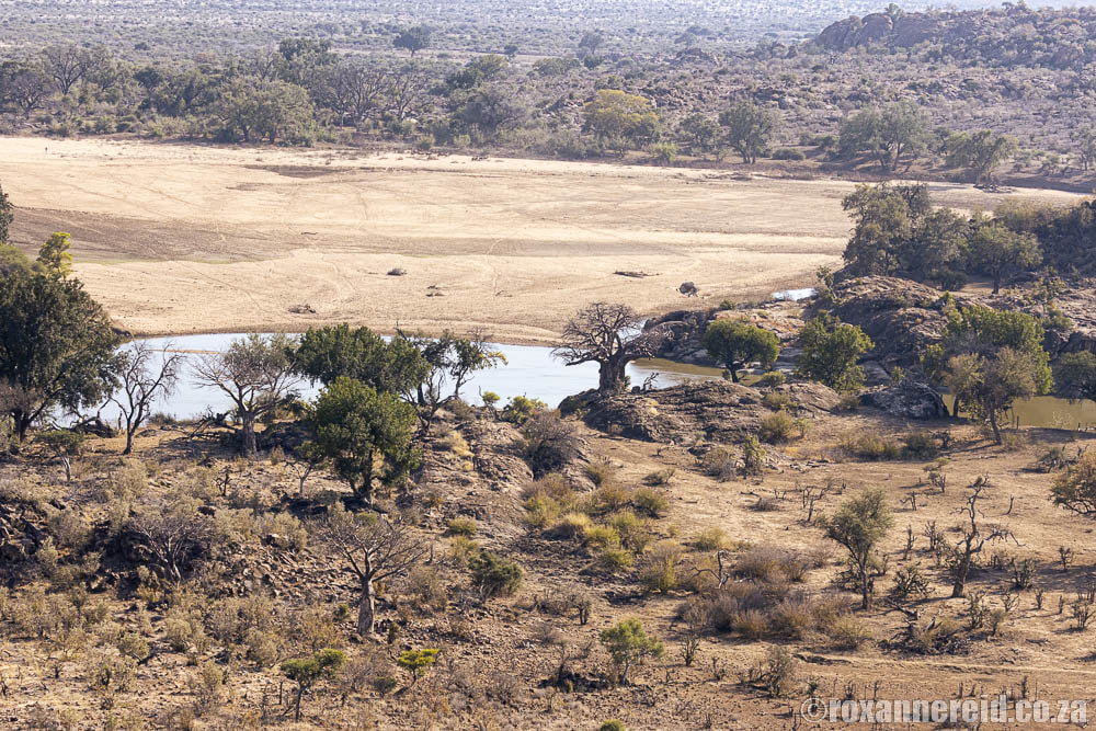 View of the Limpopo River from the Confluence decks, Mapungubwe National Park