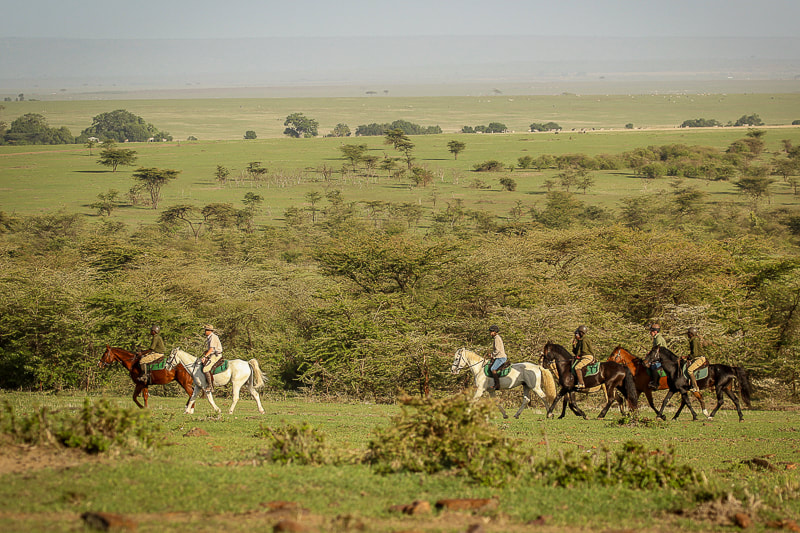 Horse riding in the Maasai Mara, Kenya