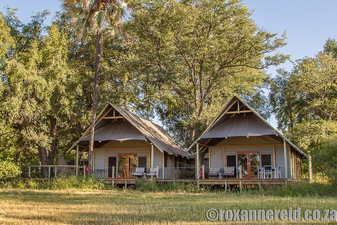 Chitabe Lediba Camp, Okavango