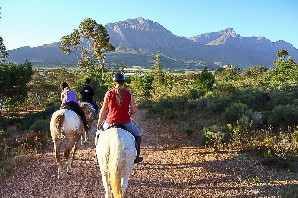 Tulbagh horse riding