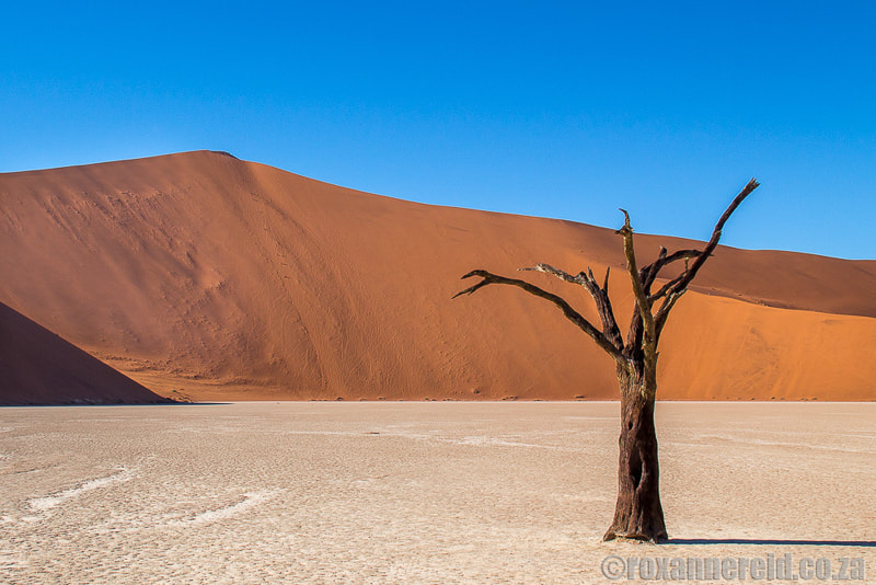 Namibia points of interest: Dead Vlei