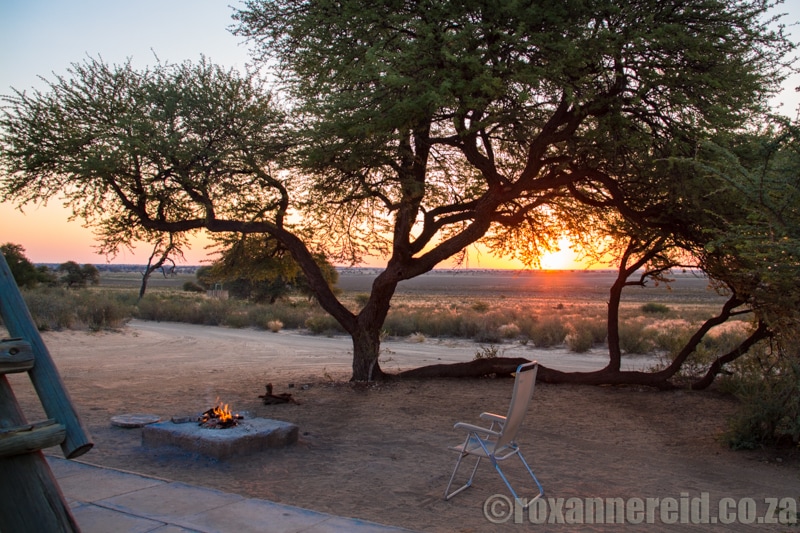 Polentswa campsite, Kgalagadi Transfrontier Park, Kalahari, Southern Africa