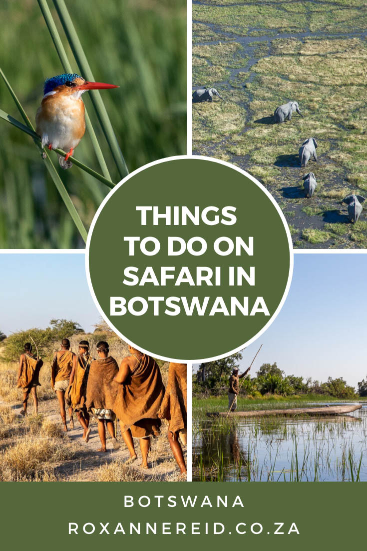 8 best things to do on safari in Botswana's Okavango, Chobe, Kalahari and Makgadikgadi. Okavango mokoro trip, Chobe sunset river cruise, see Okavango from the air, Botswana game drive, Botswana bush walk, Makgadikgadi quad biking, Bushman culture, Botswana responsible tourism. #travel #africa 