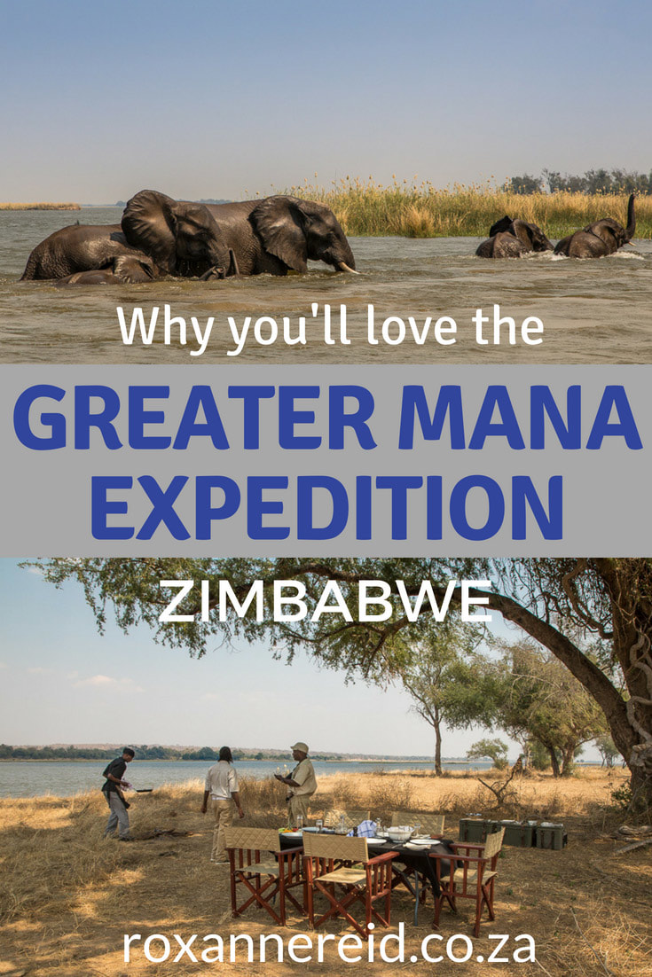 You’ll love the Greater Mana Expedition at Sapi and Mana Pools Zimbabwe, from the landscapes to the wildlife, birding, walking safaris, canoeing and game drives, Great Plains Zimbabwe’s Sapi camps, remote wilderness, professional guides, sunrises and sunsets, star-gazing and conservation. Explore Mana Pools Zimbabwe, Mana Pools National Park and Sapi Zimbabwe on a Zimbabwe safari. #safari #ManaPoolsZimbabwe #GreaterMana Expedition #wildlife #africa #zimbabwe