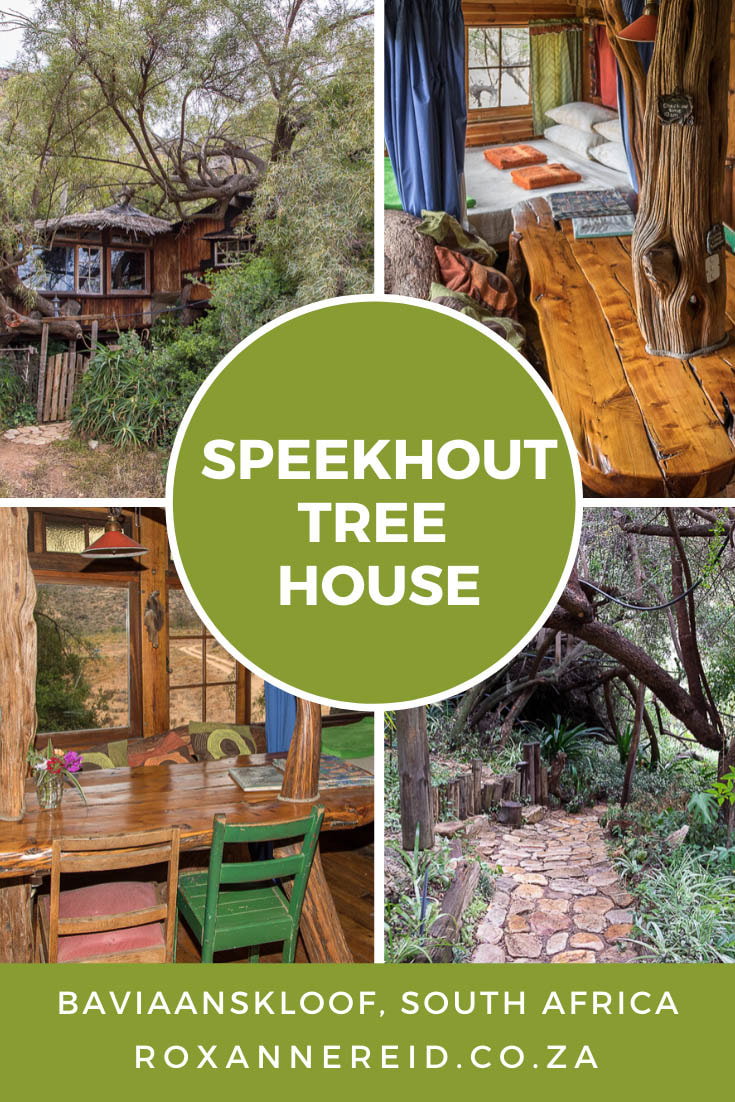 Speekhout tree house in the Baviaanskloof, Eastern Cape, South Africa #treehouse