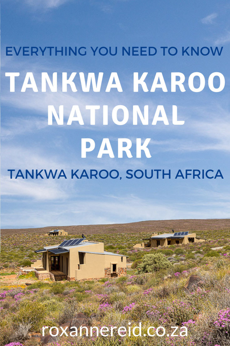 Visiting the Tankwa Karoo National Park? Find out everything you need to know about Tankwa Karoo accommodation, Tankwa Karoo camping, things to do in the Tankwa Karoo National Park, park facilities, and conservation challenges. Discover the best access roads and what it’s like getting around inside the park and where you’ll need a 4x4 vehicle. A list of need-to-know- information and tips for your visit will also be helpful with your planning.